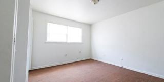 7901 S Paxton Gallery 4