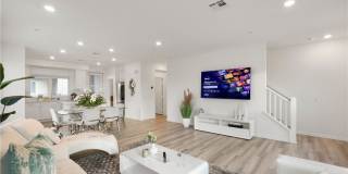 225 Steely Gallery 16