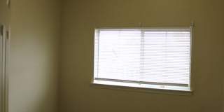 11008 Rogers Hornsby Gallery 14
