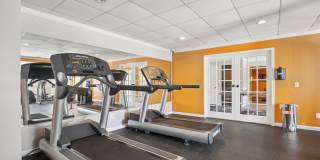 Willow Apartments Gallery 15