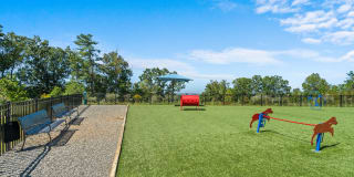 Hawthorne at Weaverville Gallery 22