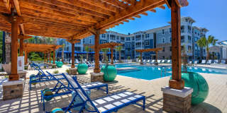 Lakeside Walk Gallery 4