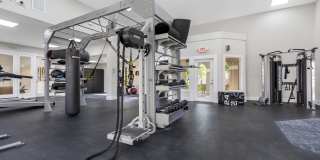 Alvista Hollywood Gallery 22