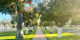 153 Bahia Lane E Gallery 20