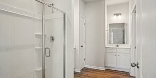 Poplin Trace Gallery 21