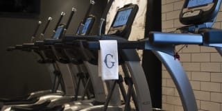 The Guild Gallery 36