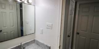 Spring Pine Gallery 31