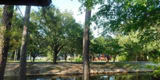 120 Juneberry Ln. Gallery 7