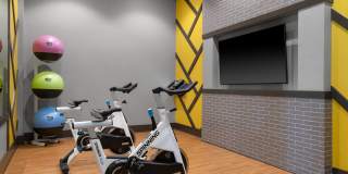 The Palmer Gallery 13