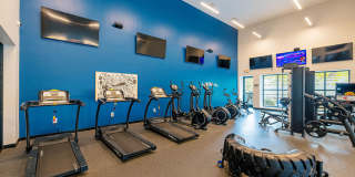 West End Flats Gallery 14