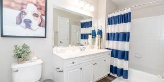 Merion Milford Gallery 20