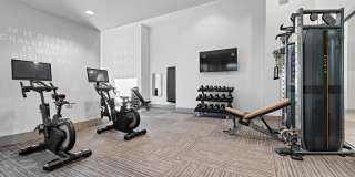 Bask Deer Valley Gallery 18