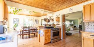 Peaceful and bright 3 bed in Kingston, walk to ferry, with Dry Sauna! Peaceful and bright 3 bed in Kingston, walk to ferry, with Dry Sauna! Gallery 10