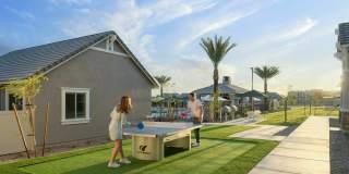 Canopy at Sundance Gallery 15