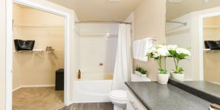 IMT Cherry Creek Gallery 20