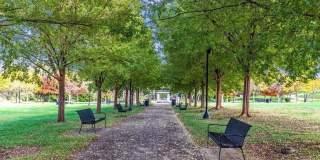 703 MOUNTAIN VIEW DRIVE Gallery 44