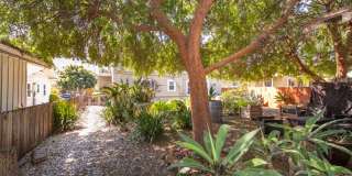 Charming North Park 2 Bedroom with Washer/Dryer, Backyard & Parking! Gallery 33
