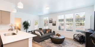 Red Hawk and Laurel Grey Gallery 5