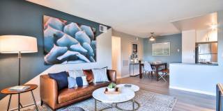 The Harlow Gallery 3