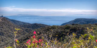 2535 Hawks Nest Trail Gallery 18