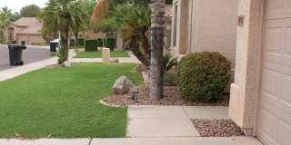 875 W Aloe Place Gallery 26