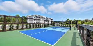 Wilton Palm Coast Gallery 13