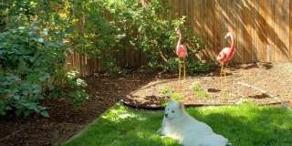 Charming 3 Bed/1.5 Bath in Desirable College Heights Location! Gallery 23