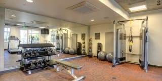 The Gantry Gallery 25