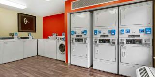 Washington, D.C. - Germantown - Town Center Gallery 23