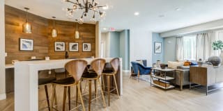 Avana Evergreen Gallery 56