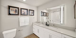 Camber Apartments Gallery 21