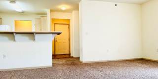 Large 3 Bedroom Apartment, Great Location! Gallery 5