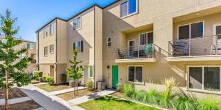 5224 Beachfront Cove St. Gallery 30