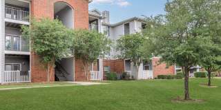 Trails at City Park Gallery 41