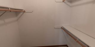 1635 Bold Ruler Gallery 10