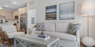 Primrose at Santa Rosa Beach Gallery 11