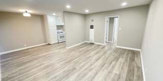 ACACIA ACACIA Gallery 1