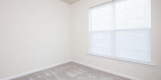 161 White Apple Way Gallery 8