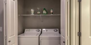 The Circle at Hermann Park Gallery 37