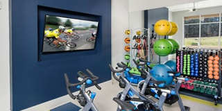 Linq at North Springs Gallery 33