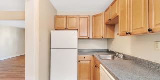 Treehaven Apartments Gallery 13
