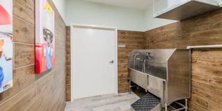 The Bonavia at Withers Farm Gallery 12