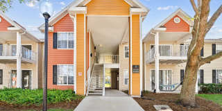 Vista Lake Ned Gallery 14