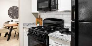 Atlas at St. George Gallery 50