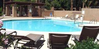 8250 E ARABIAN Trail Gallery 17