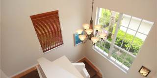 2920 Cypress Trace Circle #204 - 1 Gallery 47