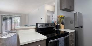 Villas at Carlsbad Gallery 1