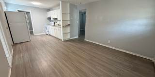 Welcome to St. Petersburg!!! Gallery 8