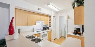 Treasure Cay Apartments Gallery 13