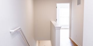 The Moxie Gallery 50